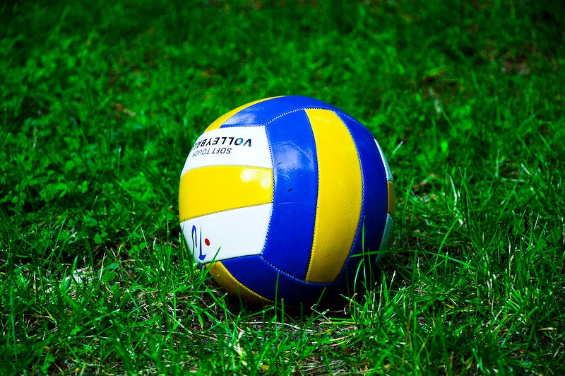 Closeup on volleyball in grass. Free public domain CC0 photo.