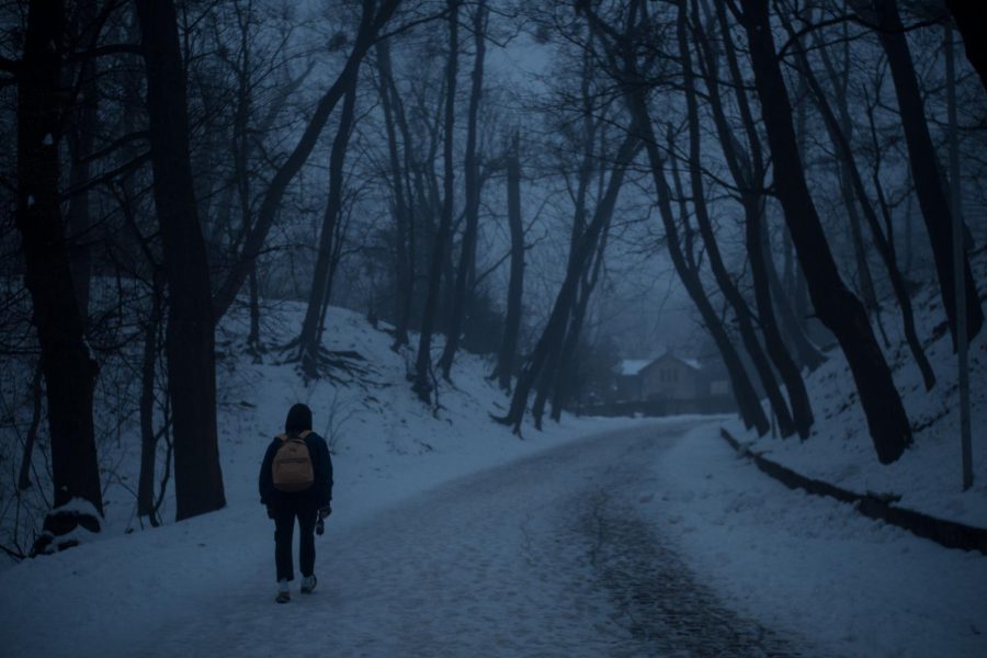Struggling With Your Mental Health this Winter? You’re Not Alone.