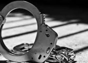 2 Women Accused Of Shoplifting And Theft By Deception At Morris County Homegoods