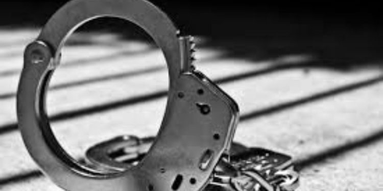 2 Women Accused Of Shoplifting And Theft By Deception At Morris County Homegoods