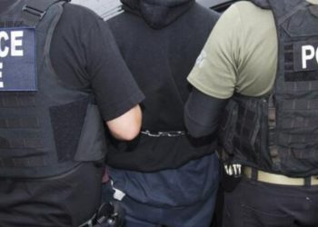 ICE takes Pennsylvania man into custody after theft arrest in Elmont