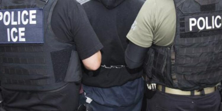 ICE takes Pennsylvania man into custody after theft arrest in Elmont