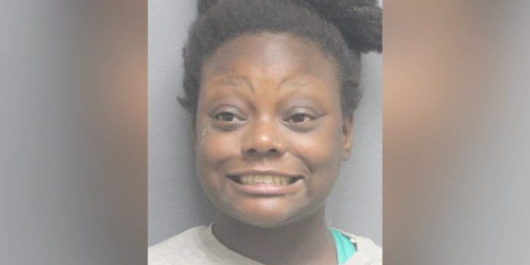 Intoxicated DC woman apprehended after allegedly kicking Virginia police officer