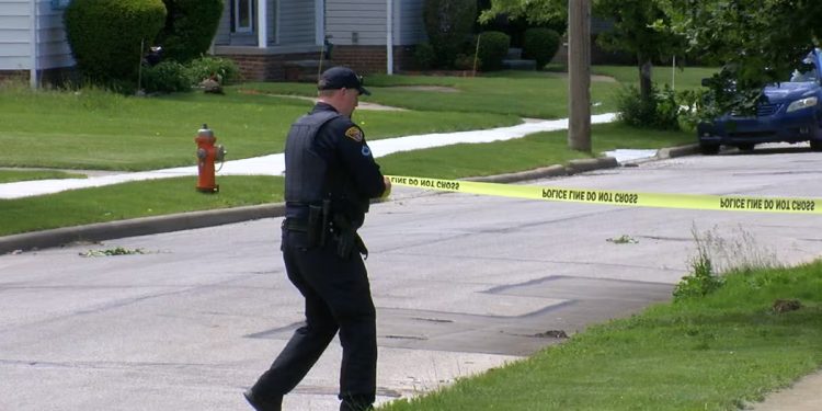 Teen Shot Near Halloran Park In Cleveland’s Jefferson Area