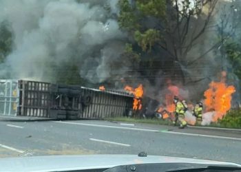 Tractor-trailer And Box Truck Crash On I-70 In New Market, Resulting In 2 Fatalities
