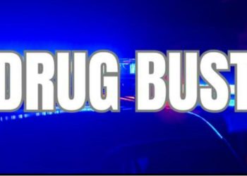 1 Person Arrested After Drug Bust In Louisiana