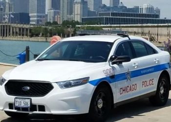 Crime Surge Hits Lakefront as 7 Cars Smashed in Brazen Harbor Heist
