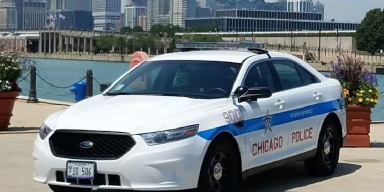 Crime Surge Hits Lakefront as 7 Cars Smashed in Brazen Harbor Heist