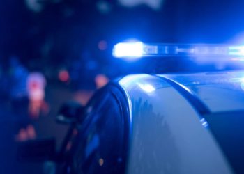 ICE detained driver who killed California tourist near Arlington