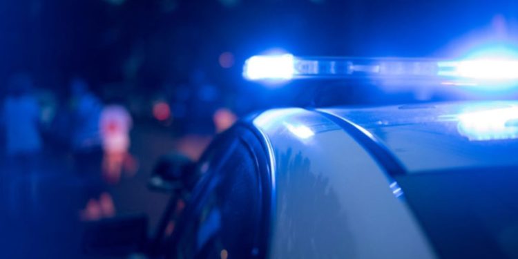 ICE detained driver who killed California tourist near Arlington