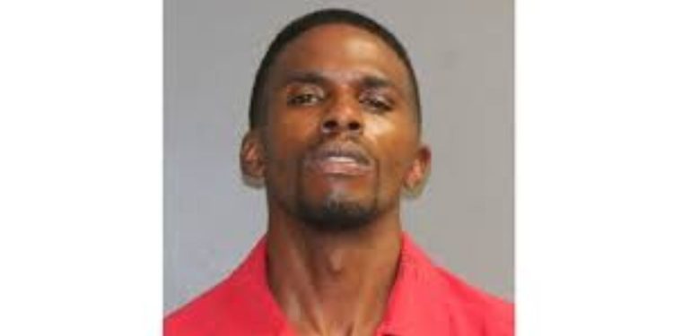 Jackson man arrested after allegedly biting police officer