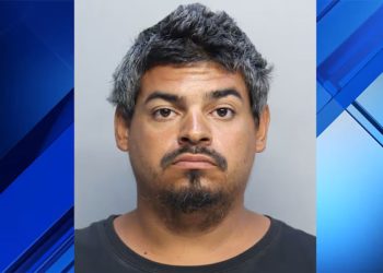 Man Accused Of Smashing Several Egyptian Geese Eggs In North Miami Beach