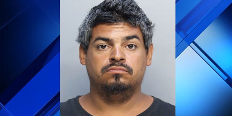 Man Accused Of Smashing Several Egyptian Geese Eggs In North Miami Beach