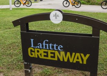 Man Detained, Accused Of Assaulting 3 Women Near The Lafitte Greenway In New Orleans
