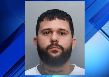 Man Facing Charges After Pulling Gun On Victim Over Mangos, Miami Police Says