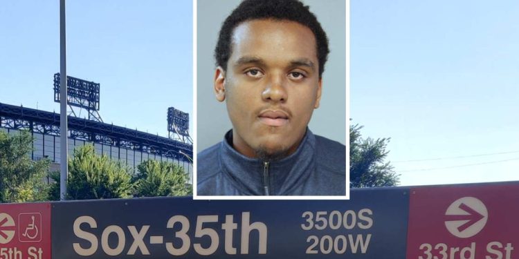 Man Robbed Two Women On Sox-35th Red Line Platform, Prosecutors Say