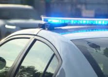 Police: Woman Found Fatally Shot In Head On South Side