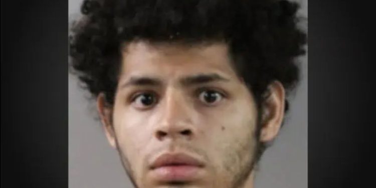 Vandalism Spree Ends With capture In Frostproof: Polk County Sheriff