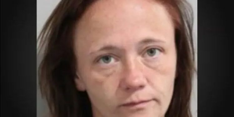 “Vanna” Tagged: Bartow Woman Detained For Fort Fraser Trail Vandalism