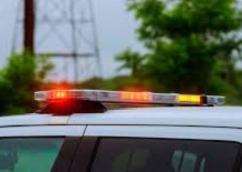 2 New Yorkers Accused Of Stealing Hundreds From Shippensburg Walmart And Forgetting Their Children In The Parking Lot