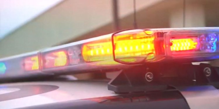 Brother And Sister Apprehended In Series Of Parking Lot Robberies In Metro Detroit