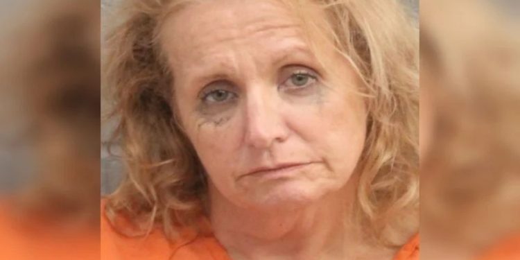 Harris County Deputies Arrested Woman Suspected of DWI While Asleep at the Wheel on Broad Valley Court