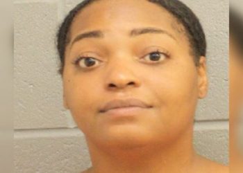 Houston Woman Charged With Animal Cruelty Following Chihuahua Rescued From Hot Car In Costco Parking Lot