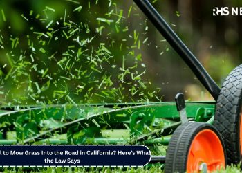 Is It Illegal to Mow Grass Into the Road in California Here’s What the Law Says