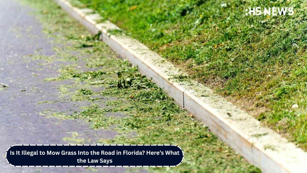 Is It Illegal to Mow Grass Into the Road in Florida Here’s What the Law Says