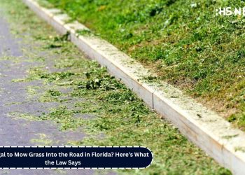 Is It Illegal to Mow Grass Into the Road in Florida Here’s What the Law Says