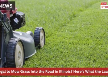 Is It Illegal to Mow Grass Into the Road in Illinois Here’s What the Law Says