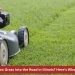 Is It Illegal to Mow Grass Into the Road in Illinois Here’s What the Law Says