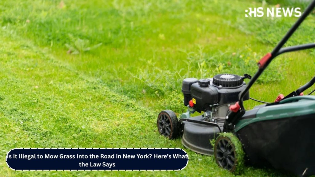 Is It Illegal to Mow Grass Into the Road in New York Here’s What the Law Says