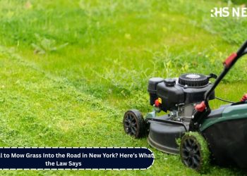 Is It Illegal to Mow Grass Into the Road in New York Here’s What the Law Says