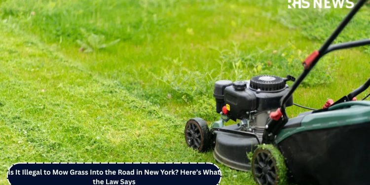 Is It Illegal to Mow Grass Into the Road in New York Here’s What the Law Says