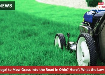 Is It Illegal to Mow Grass Into the Road in Ohio Here’s What the Law Says