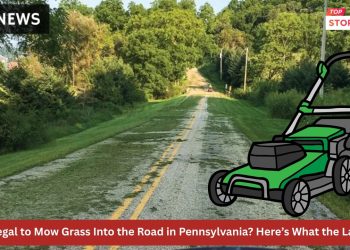Is It Illegal to Mow Grass Into the Road in Pennsylvania Here’s What the Law Says