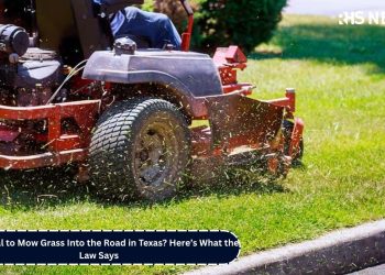 Is It Illegal to Mow Grass Into the Road in Texas Here’s What the Law Says