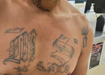 MS-13 gang member from El Salvador Detained in Detroit over the weekend: Feds