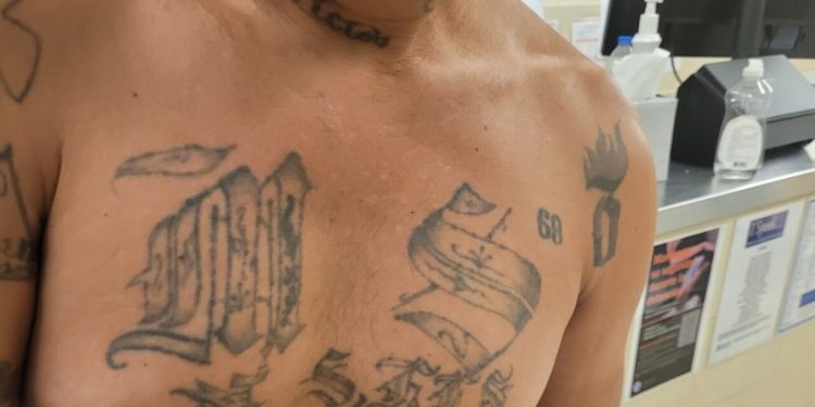 MS-13 gang member from El Salvador Detained in Detroit over the weekend: Feds