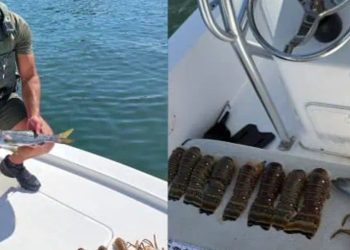 Miami Man Arrested In Florida Keys For Egregious Fishing Violations