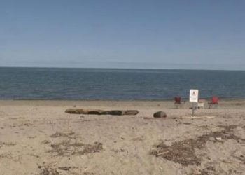 Missing Westmoreland County Teenager Kayaker’s Body Discovered At Presque Isle Beach On Lake Erie