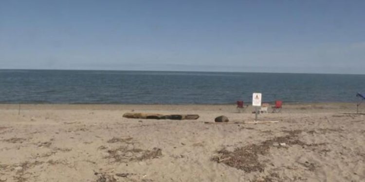 Missing Westmoreland County Teenager Kayaker’s Body Discovered At Presque Isle Beach On Lake Erie