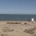 Missing Westmoreland County Teenager Kayaker’s Body Discovered At Presque Isle Beach On Lake Erie