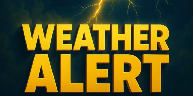 New York Summer Weather Alert: Showers and Thunderstorms Expected in Central Park, FDR Drive by Monday