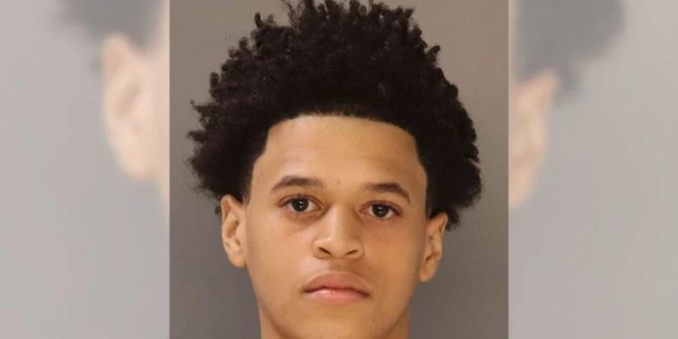 Police Looking For Missing 15-year-old Boy In Dauphin County