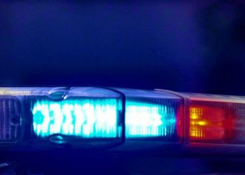 12 People Detained In Washington State Multiagency Child Exploitation Investigation