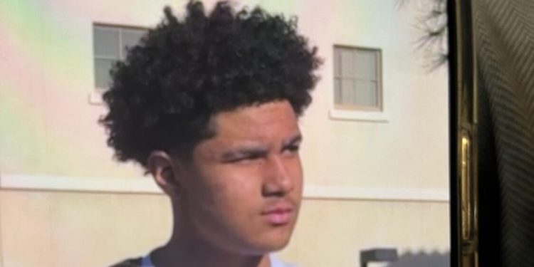14-year-old Boy With Heart Condition Disappeared In Chandler