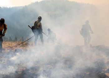 2 Firefighters, Including Oregon Man, Battling Wildfire In Washington State Taken Into Custody By Border Patrol