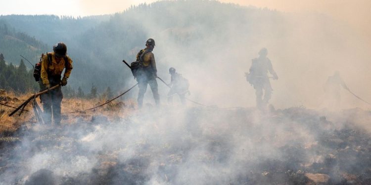 2 Firefighters, Including Oregon Man, Battling Wildfire In Washington State Taken Into Custody By Border Patrol